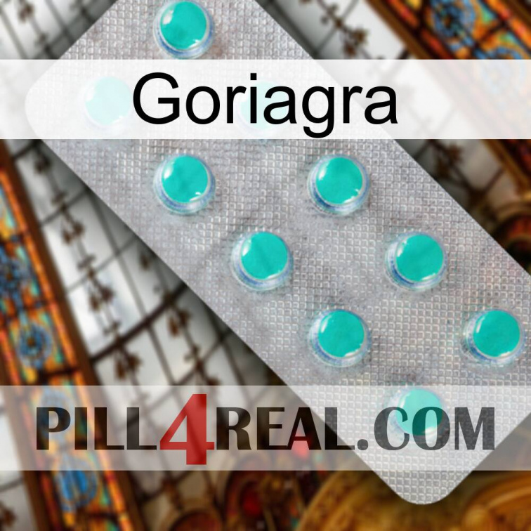 Goriagra 28